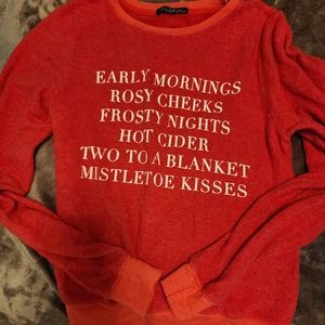 Wildfox Christmas sweater